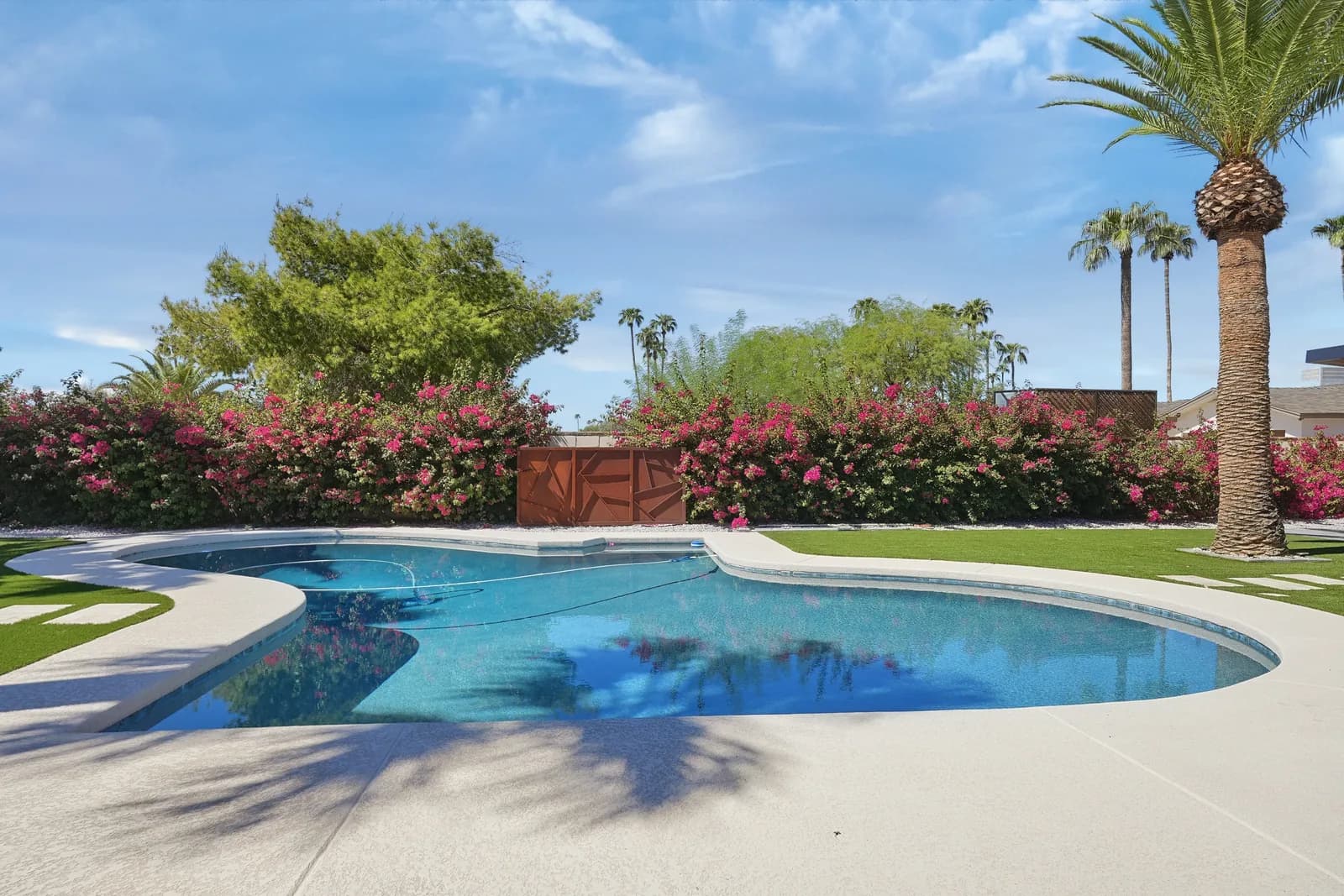 Pool and backyard, edited